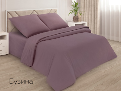 Пододеяльник Евро поплин(бузина) Пододеяльник Евро поплин(бузина)