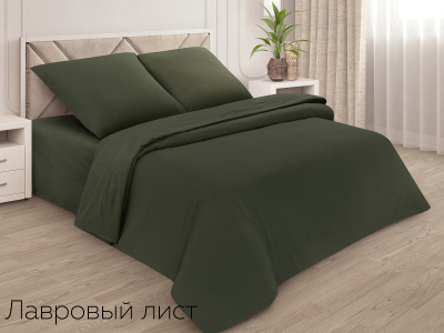 Пододеяльник Евро поплин(лавровый лист) Пододеяльник Евро поплин(лавровый лист)