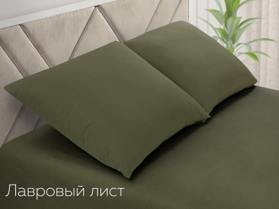 Простынь Евро поплин(лавровый лист) Простынь Евро поплин(лавровый лист)