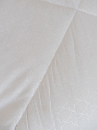 Одеяло "Лебяжий пух" всесезон. м/ф (бел)