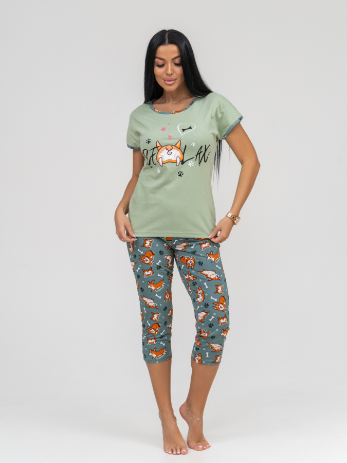 Корги(олива) футболка+бриджи