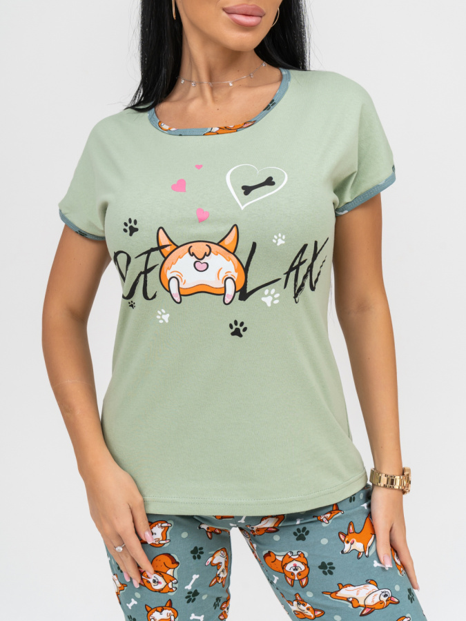 Корги(олива) футболка+бриджи