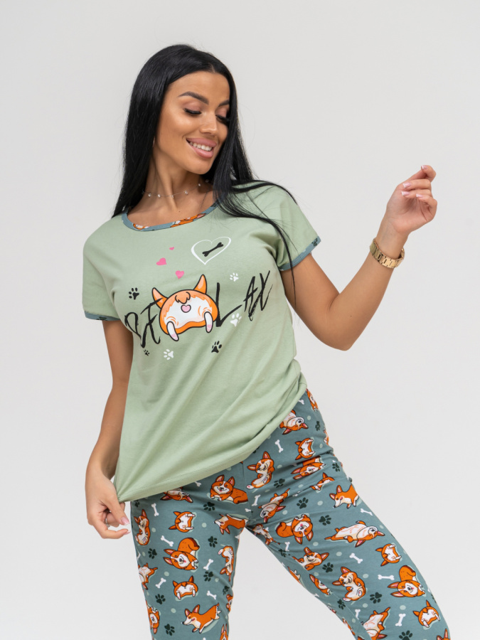 Корги(олива) футболка+бриджи