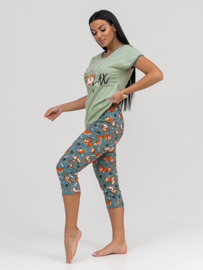 Корги(олива) футболка+бриджи