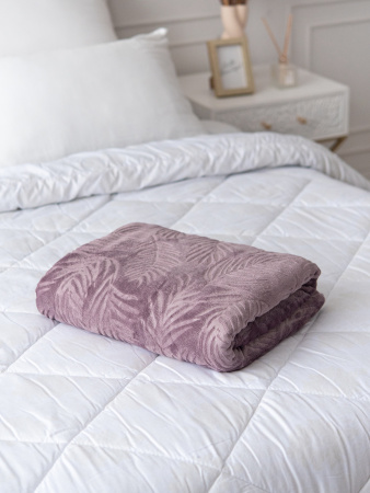 Веточки(сух. роза) плед велсофт