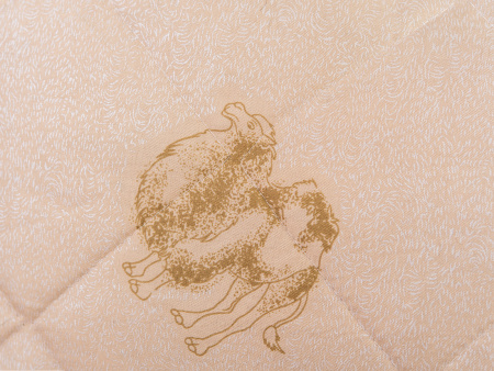 Подушка "Верблюд" тик Подушка "Верблюд" тик