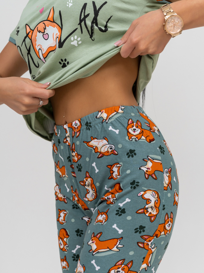 Корги(олива) футболка+бриджи