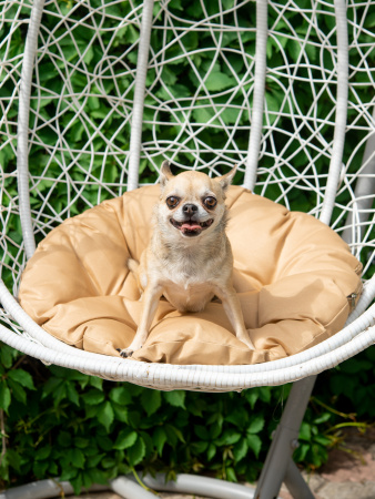 Подушка круглая на кресло "Грета"