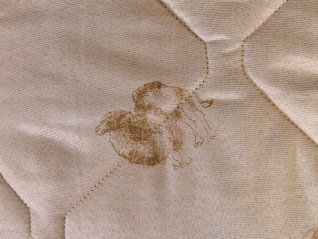 Одеяло "Верблюд" всесезонное п/э детское