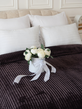 Вертикаль(баклажан) плед велсофт