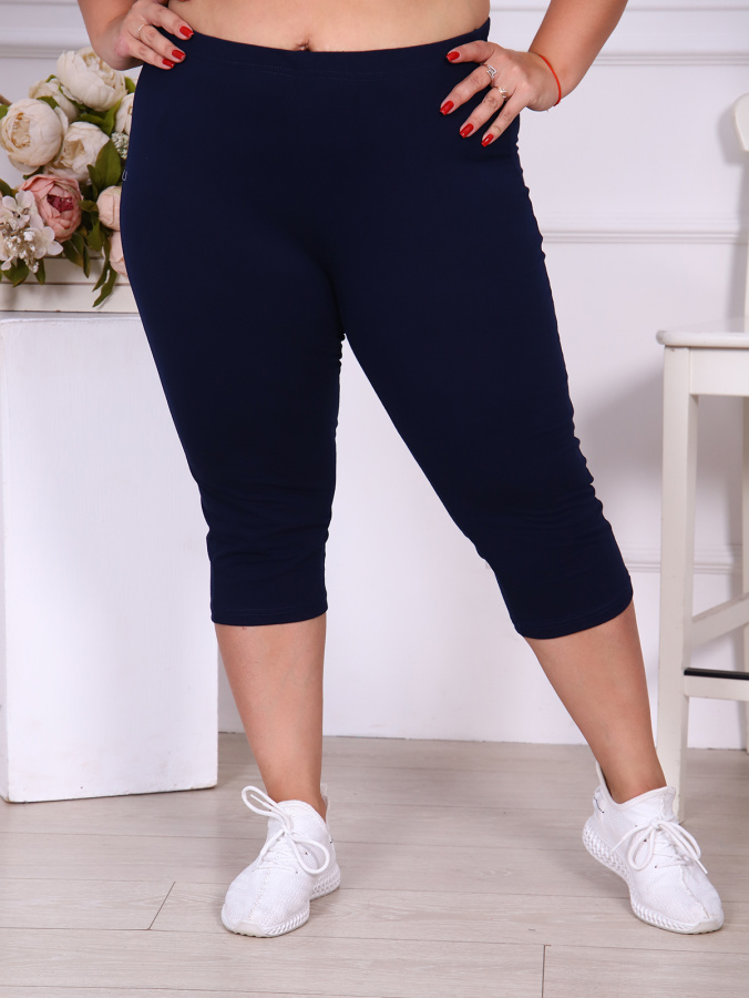 Бриджи-2 (тем.син.)