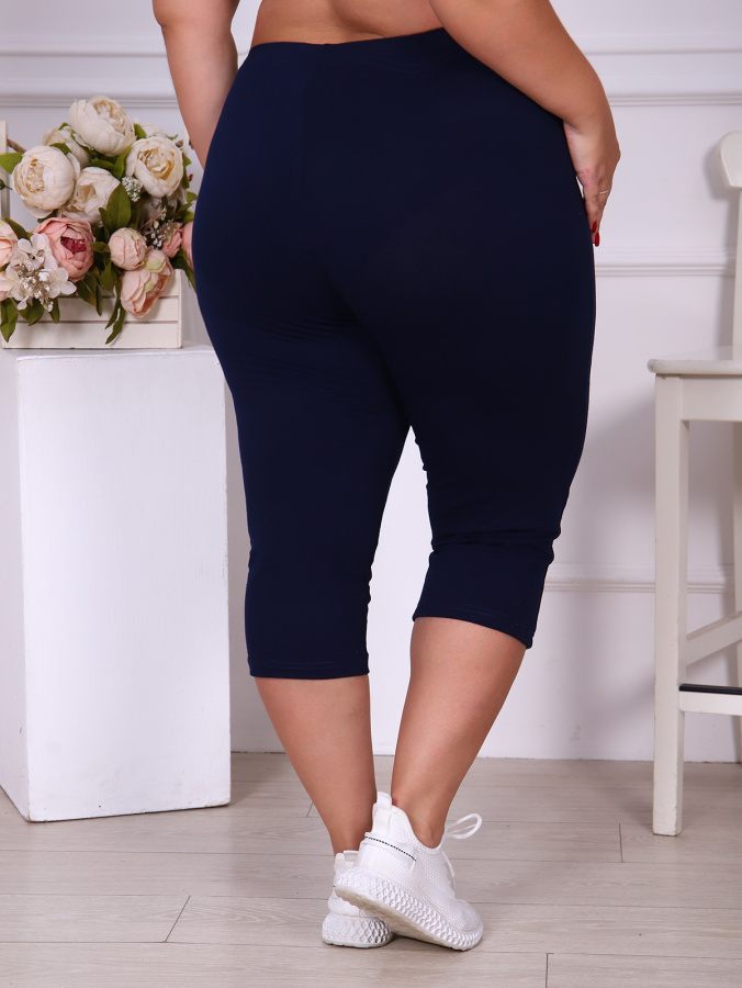 Бриджи-2 (тем.син.)