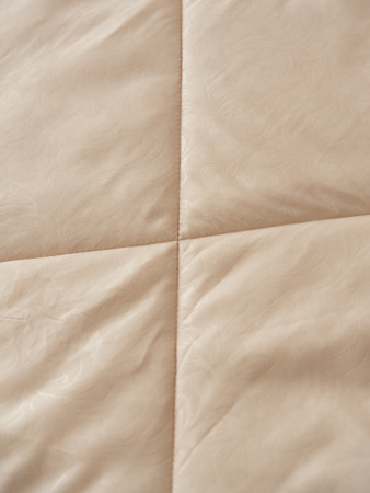 Одеяло "Лебяжий пух" всесезон.м/ф (беж)