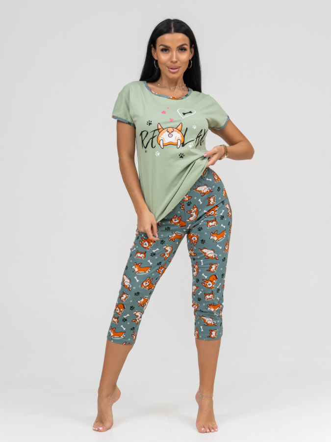 Корги(олива) футболка+бриджи