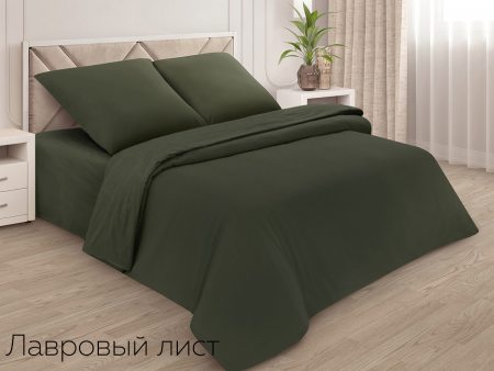 Пододеяльник ЕВРО 200*220 поплин однотонный